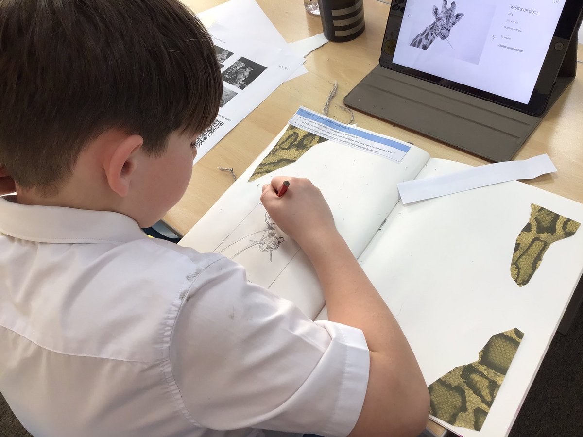 MissCunniffe's tweet photo. Another creative art lesson: the children presented their artist research in their own way! What a great start to our drawing unit focusing on Monica Lee! @LeighSTJOHNSsch #developingartists #artskills #sketchbook #animalsketches https://t.co/TG1Rj10S0D