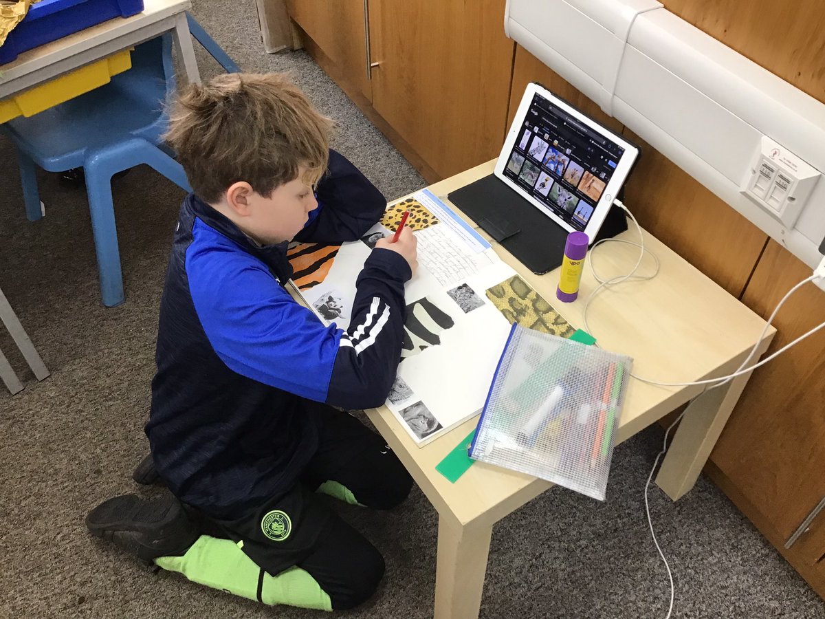 MissCunniffe's tweet photo. Another creative art lesson: the children presented their artist research in their own way! What a great start to our drawing unit focusing on Monica Lee! @LeighSTJOHNSsch #developingartists #artskills #sketchbook #animalsketches https://t.co/TG1Rj10S0D