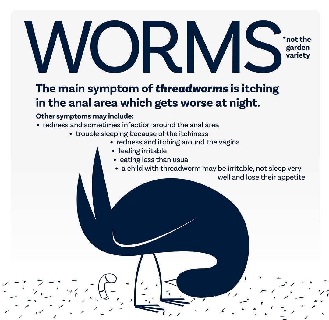 qldhealth's tweet photo. If you've ever had #threadworms, you'll know how irritating they are! 😠

Threadworms are parasites that live in your intestines. 🪱

They come out of the anus at night to lay eggs between the buttocks. 

#IntestinalWorms #QldHealth https://t.co/wfSOywjiPW