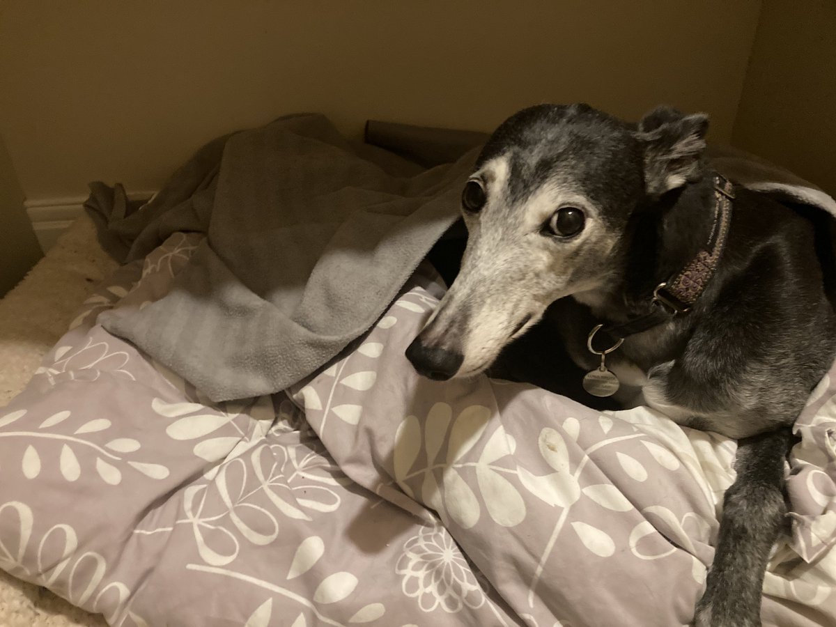 Richard Bruce tweet media