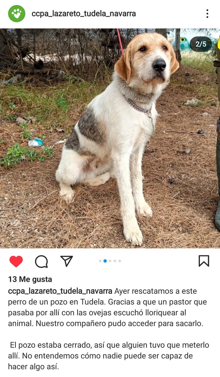 irenenonay's tweet photo. ¿Le ayudamos a encontrar una casa?
🙏 https://t.co/XkaZCbN84O