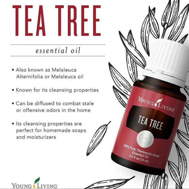 Healthierthymes's tweet image. #yleo #youngliving #essentialoils