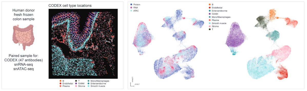 Human languages have similar structures that describe the world. Researchers use the parallel languages of proteins, RNA, &amp; epigenetics to describe cells/tissues. Such similarities can now fuse independent modalities w/ high fidelity. biorxiv.org/content/10.110…
