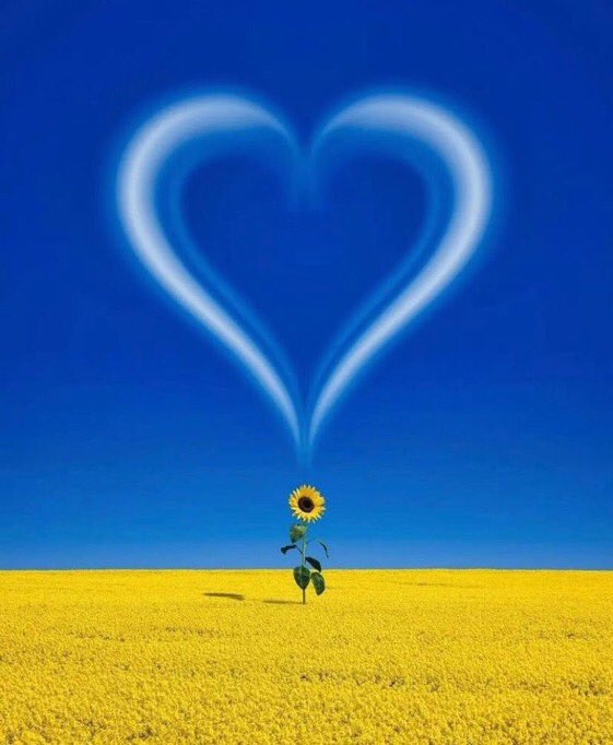 Andreas Moser tweet media