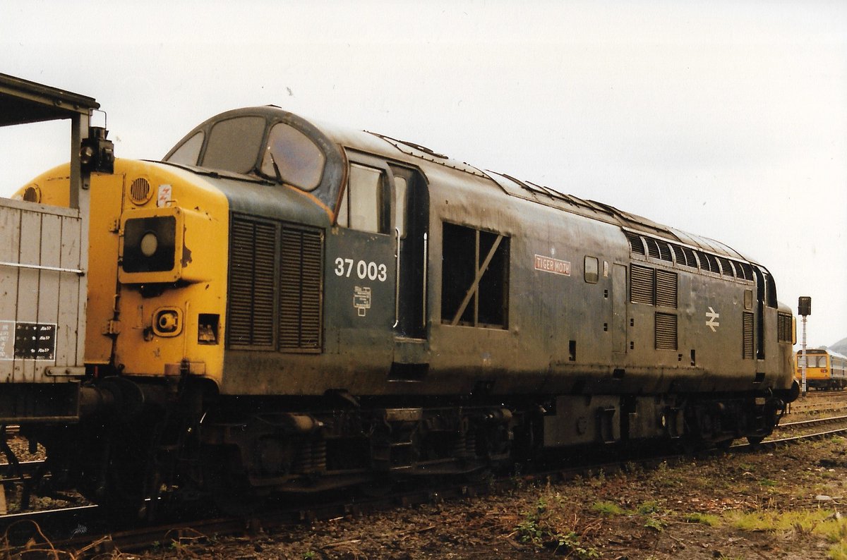 Scarborough Londesborough Road 1st September 1990
British Rail Class 37 diesel loco 37003 on ballast train duties.
Weathered BR Blue with Tinsley Depot painted name 'Tiger Moth'
Pacer cameo!
#BritishRail #Scarborough #BRBlue #Trainspotting #TigerMoth #Class37 #Tinsley 🤓