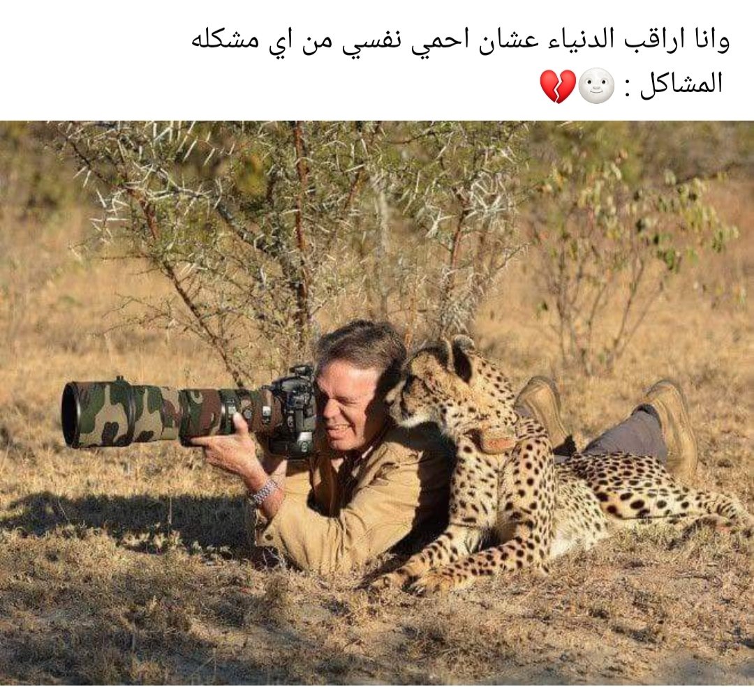 مريانا الخطيب tweet media