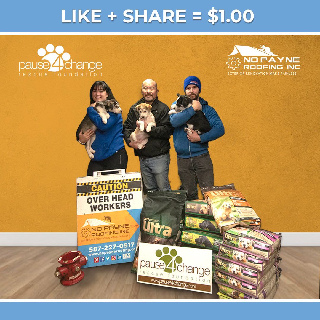 No Payne Roofing Inc tweet media