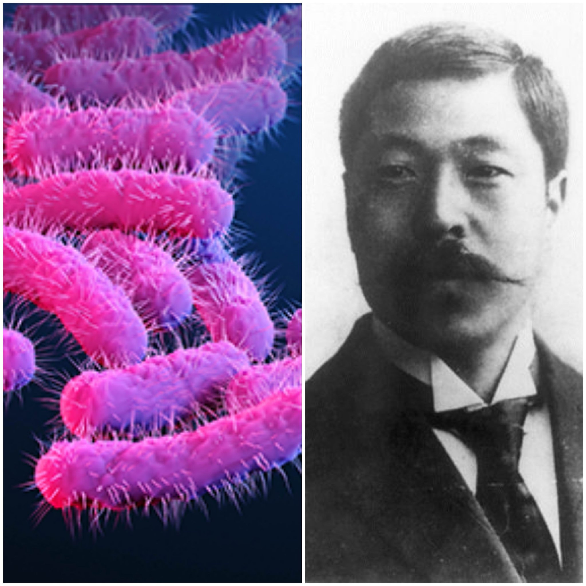 Izquierda: Muestra De Shigella. Derecha: Fotografía Del Dr. Kiyoshi Shiga