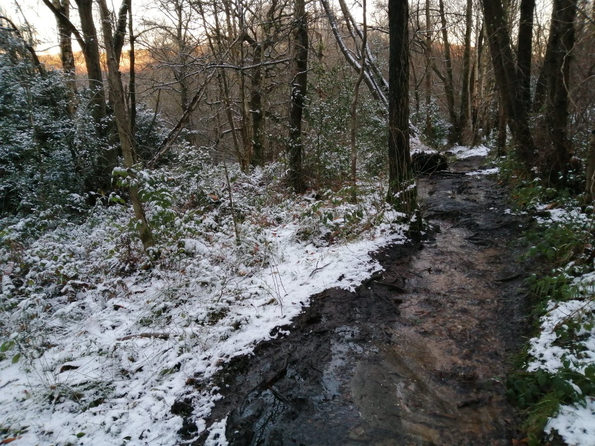 A perfect footpath on which to try out my new wellies!