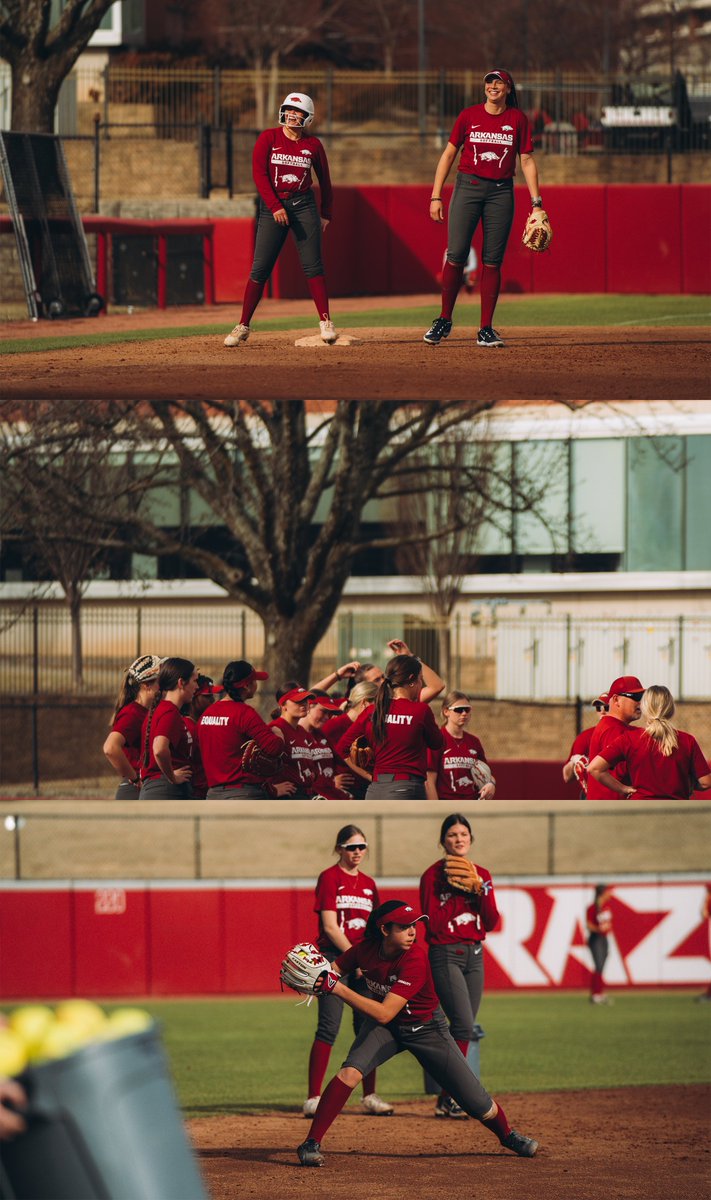 Arkansas Softball tweet media