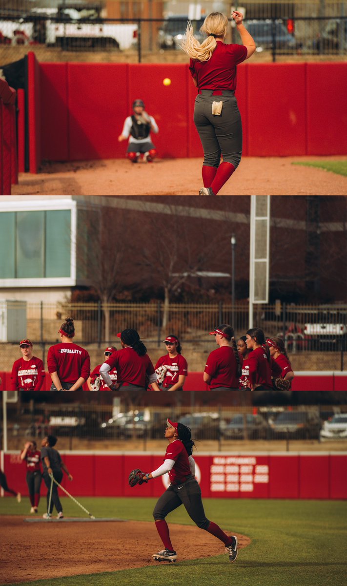 Arkansas Softball tweet media