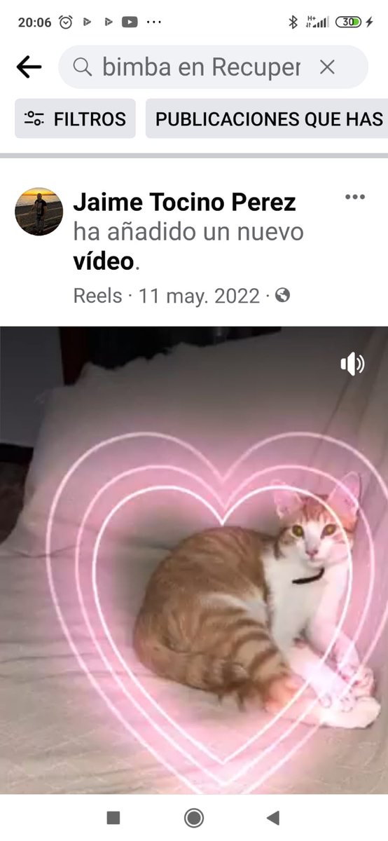 NatSu41398992's tweet photo. Trabajadores por los #animales #sufren por encontrarse muchos #abandonados, muchos son #perdidos,pero no buscan a sus #familias. La redes están llenas de personas #buscándolos. #Destrozan familias y animales creyendo hacerles favor y no #devolviendolos cuando los encuentran. https://t.co/OCSxeHgvf3