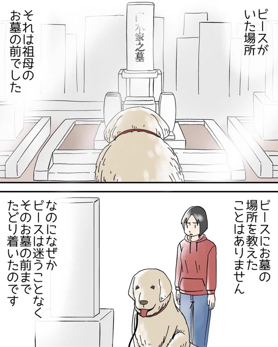 フォロワーさんの体験談【動物嫌いのおばあちゃん】3/3 