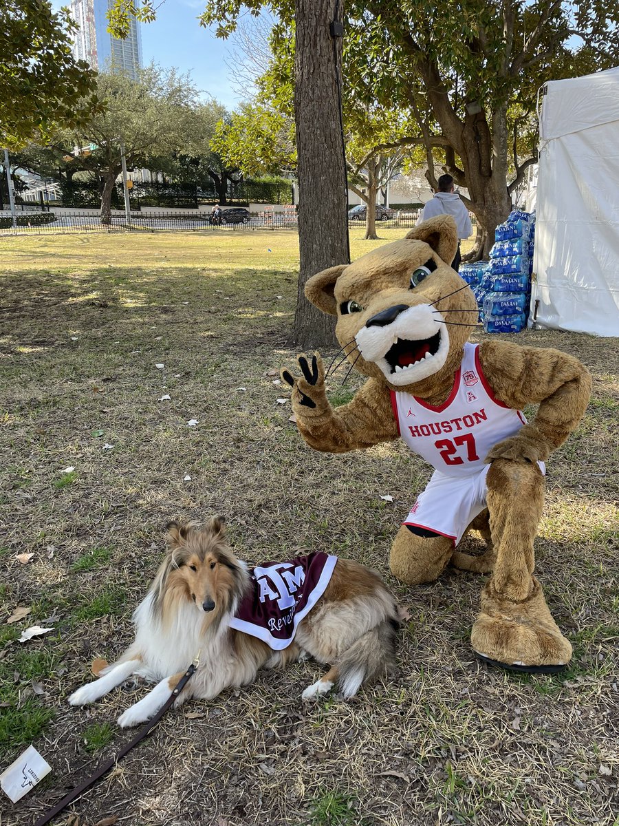 UHMascots's tweet photo. Met the queen of Aggieland
And my dinner for tonight https://t.co/drUK8j6vD9