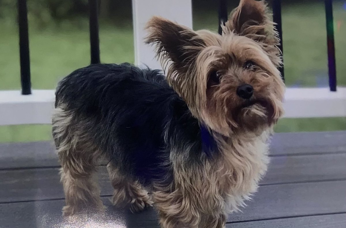 Stanley >>> Davidson  #dayton6th