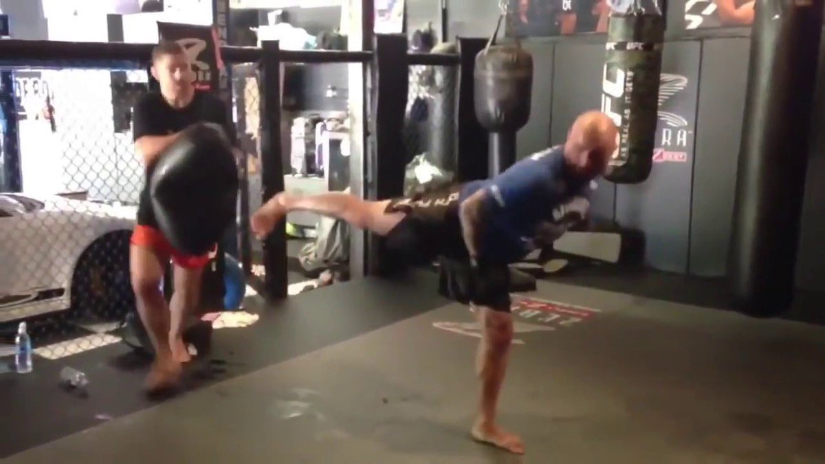 "Jamie, pull up that video of the Shiba Inu doing a spinning back kick" <a href="/joerogan/">Joe Rogan</a>