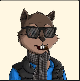 ryry_so's tweet photo. @solfun__  Got 3 of these fp is going to go over 10+ get them now while you can #chipfunks #NFTs #NFT #revshare https://t.co/NNUWSJbodb