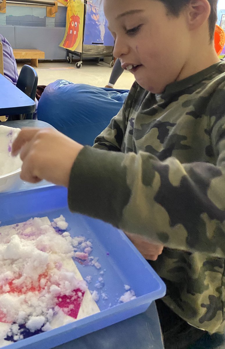 Crystal Bay School tweet media