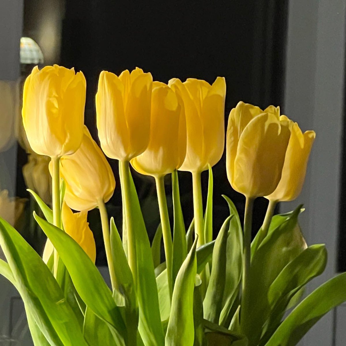 JuneMMcHenry1's tweet photo. Reduced to 30p bunch of tulips brought so much pleasure! 🌷 https://t.co/J5K8o0ca74