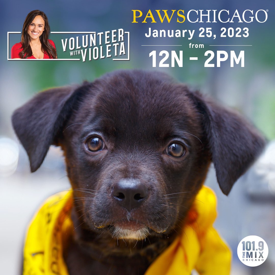 Violeta Podrumedic tweet media