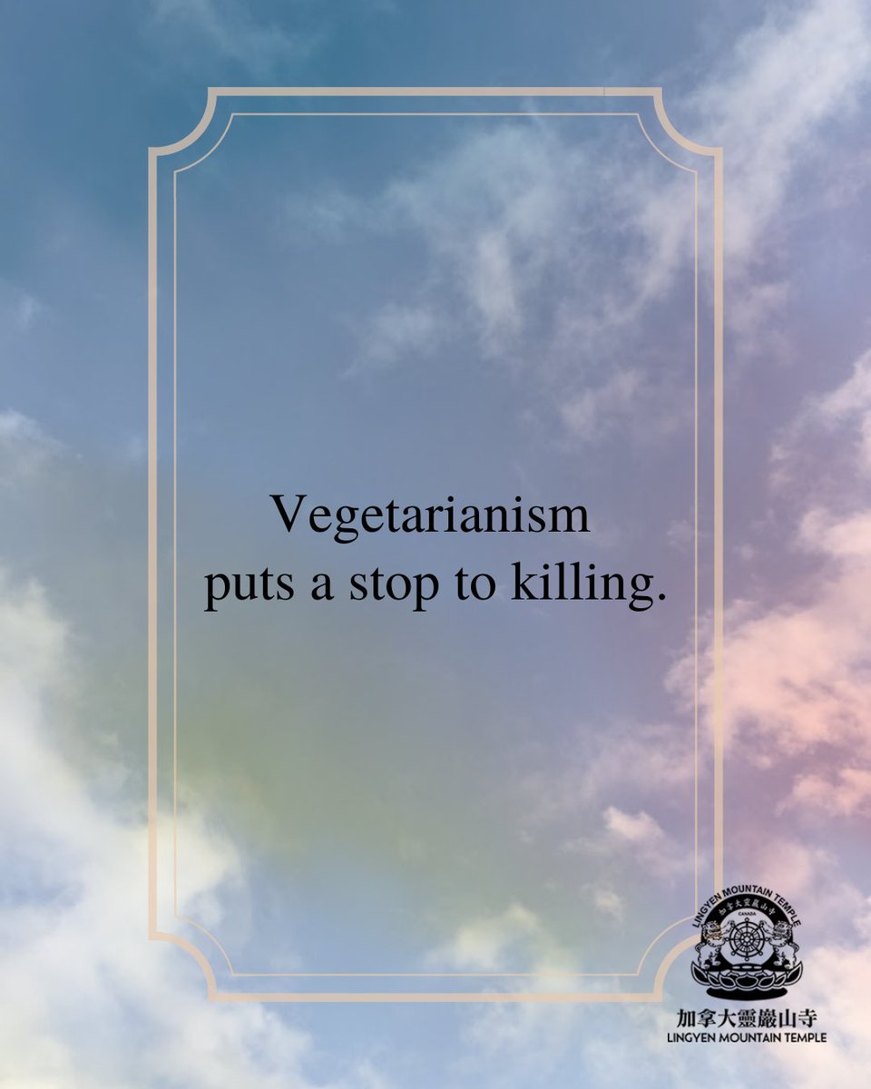 lymtcanada's tweet photo. Becoming a vegetarian can halt the cycle of killing.

#vegan #Veganuary #veganism #vegetarian #plantbased #food #diet #ChineseNewYear #NewYear2023 #newyear #quote #quotes #leadership #leaders #education #resolution #leaders #Vancouver #Canada #quotestoliveby #mindset #animals https://t.co/kKg0ra9w5Z