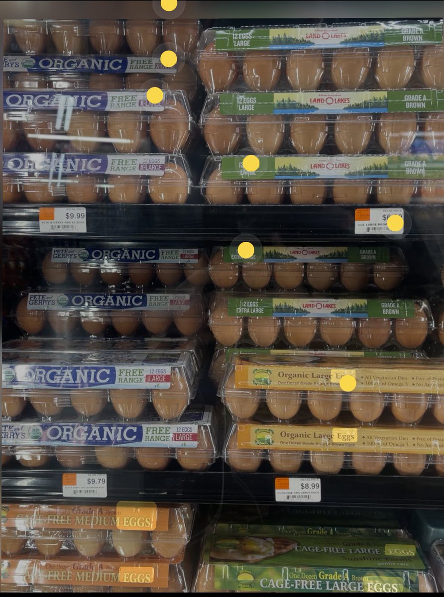 quitty's tweet photo. @donlemon @donlemon Amazing! I can’t find a dozen eggs for less than $6 — and that’s hunting for a good price. This is the average price of eggs in my neighborhood in Brooklyn. https://t.co/1GApRttKyb