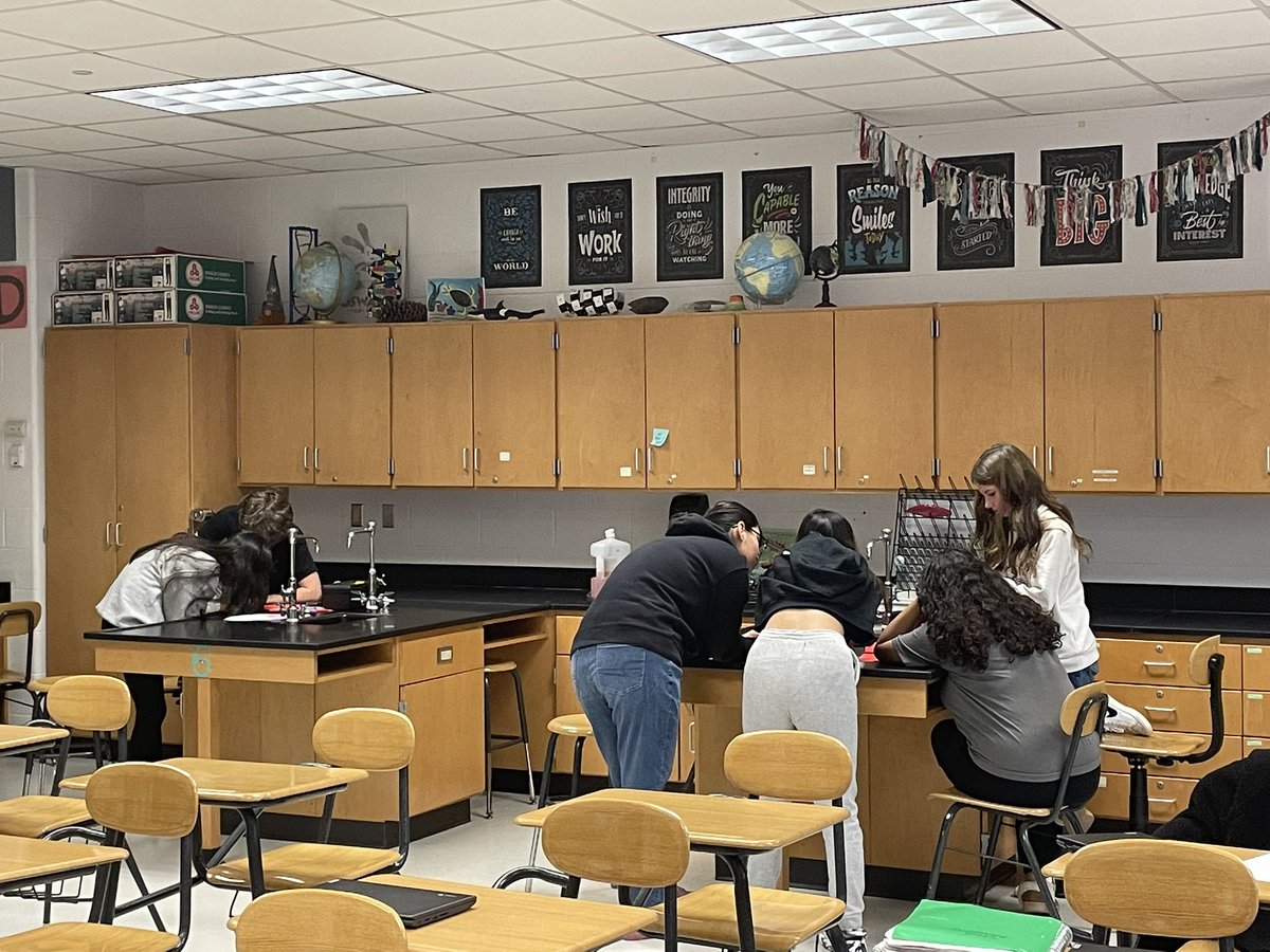 DisneySciNerd's tweet photo. INTENSE cell escape room review in Honors Biology 4A #bhsscience @Barnegat_HS #winnerwinnerchickendinner #takeacellfie https://t.co/BKKoRSrXQW