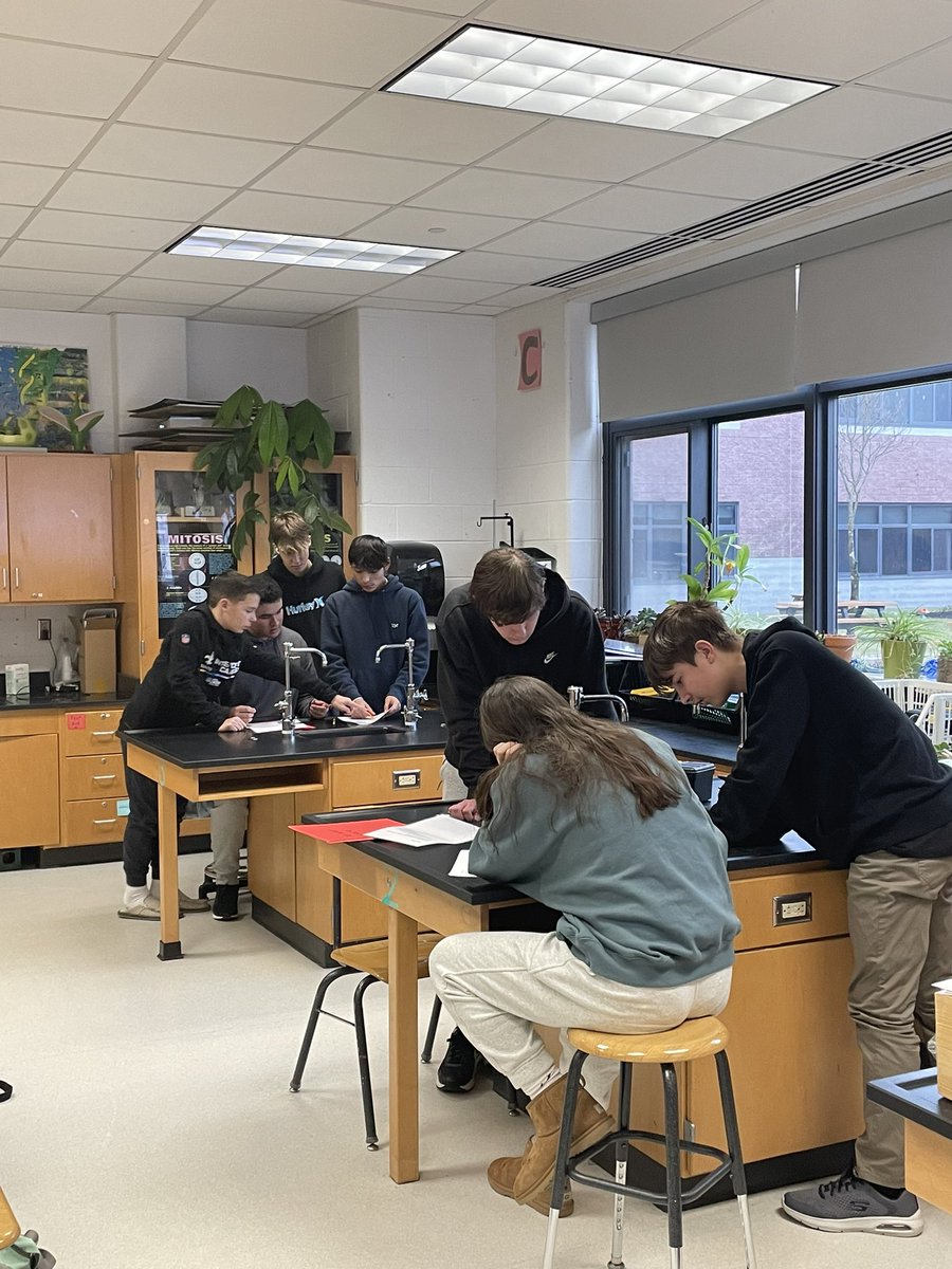 DisneySciNerd's tweet photo. INTENSE cell escape room review in Honors Biology 4A #bhsscience @Barnegat_HS #winnerwinnerchickendinner #takeacellfie https://t.co/BKKoRSrXQW