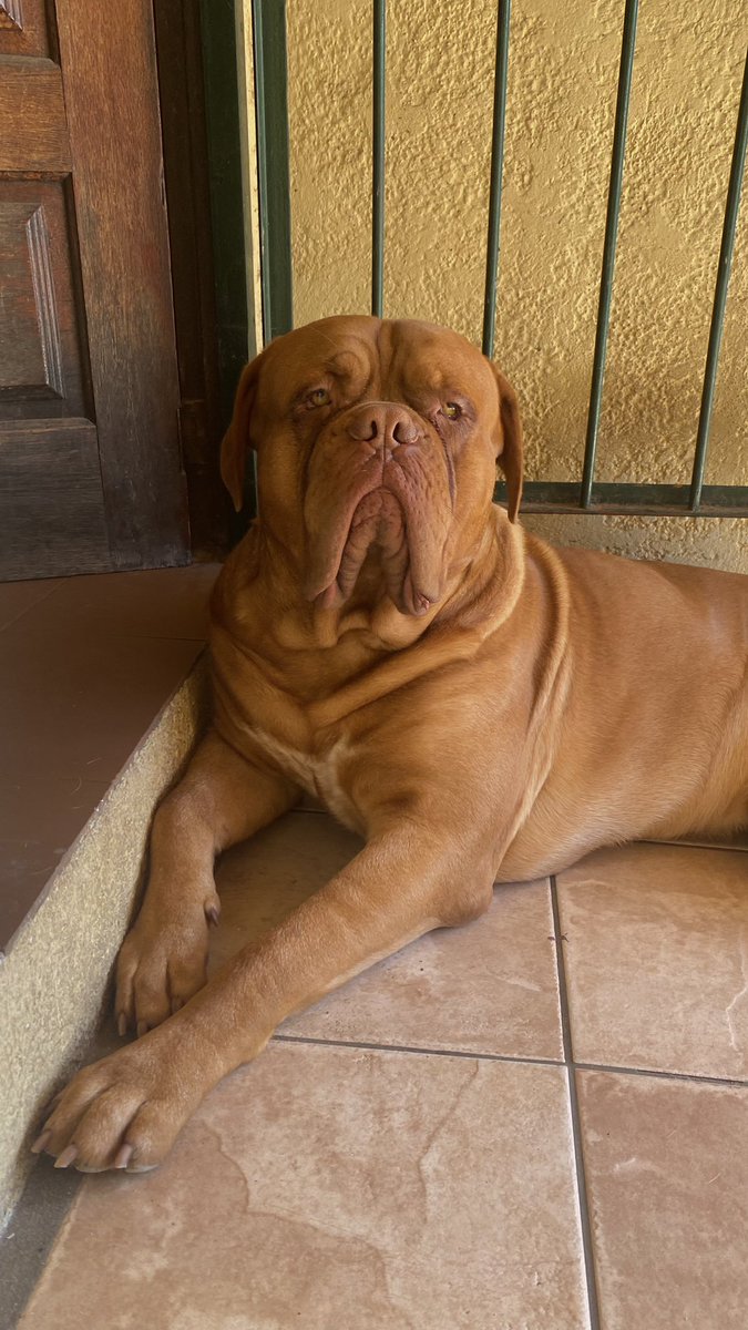 como empezó / como va🫶🏻