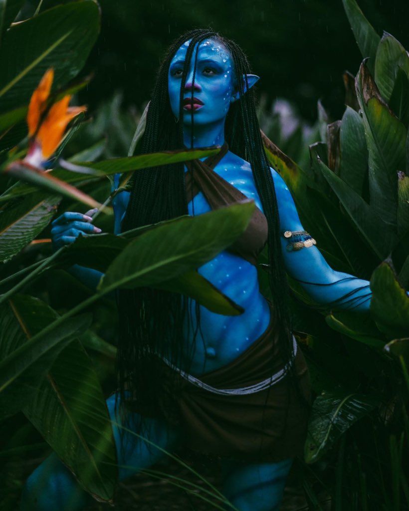 ChandellTolbert's tweet photo. I See You π€πΎ
π¨: @glitterthumbs
#korratheavatar #avatar #thewayofwater #huntress #bodypaint #cosplay #facepiant #neytiri #cospaint #photoshoot #art #navi #forest #deepforest #avatarkorra #bodypainter #blackowedbusiness #stars #protector #blackgirlmagic #blackwomen #chandellt https://t.co/aKPKquGZUP