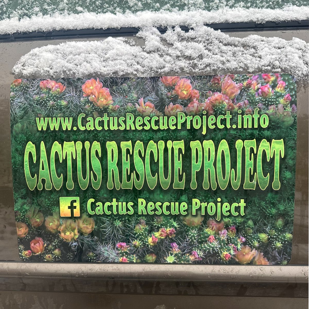 santafecholla's tweet photo. 325 Days of sunshine in Santa Fe. This was not one. Santa Fe Cactus and Succulent Club meeting cancelled! Good call. Thank you! https://t.co/1jiNdaDkiL