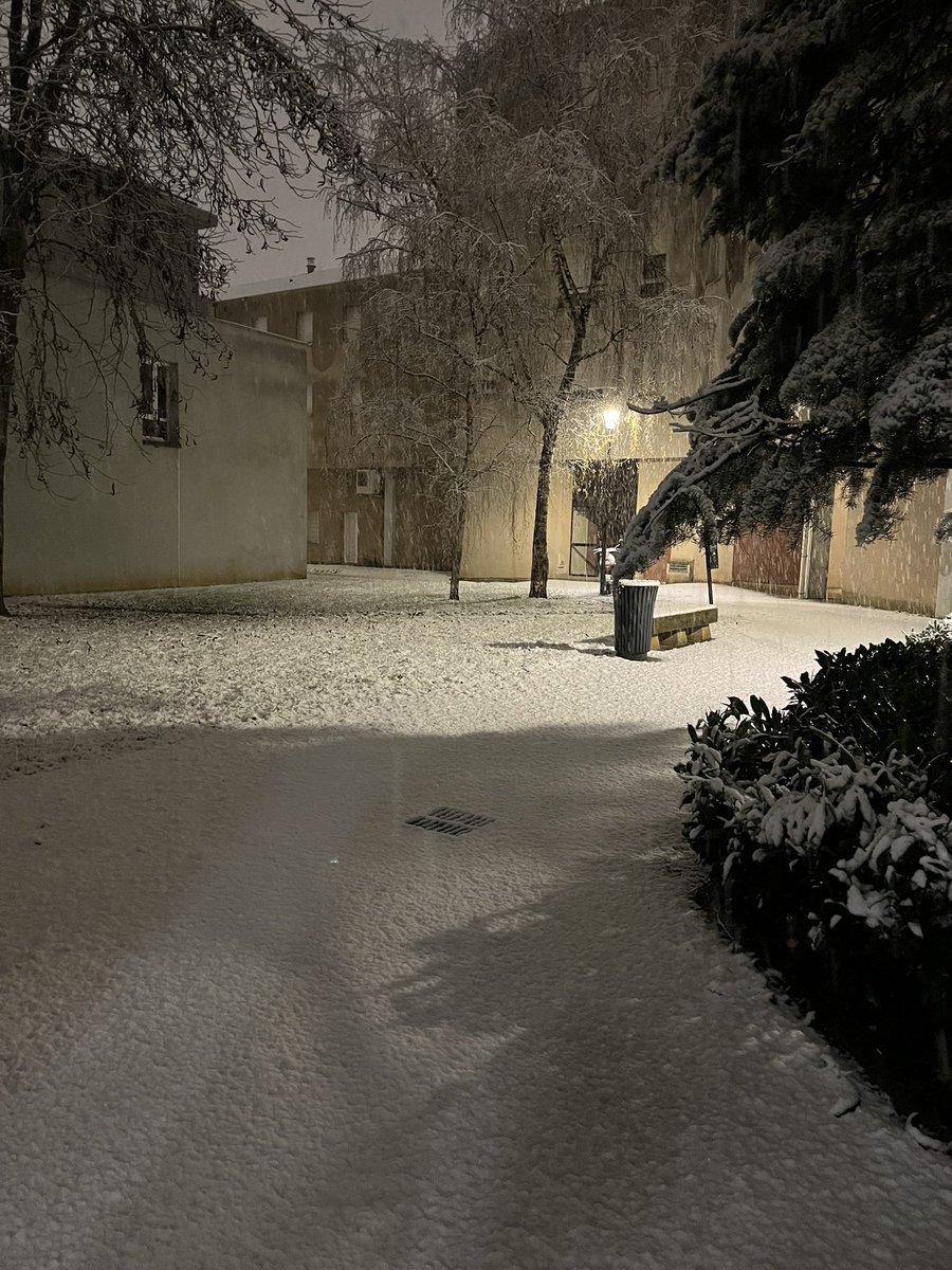 Queen Saorie👩🏼‍🦽☔️🖇 tweet media