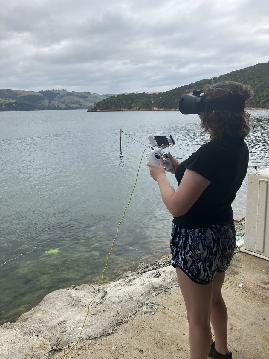 HMQuertermous's tweet photo. Testing out an underwater drone to use for behavior observations in the field! Not quite as cool as swimming with the fishes, but still pretty awesome! https://t.co/1dOot74okp