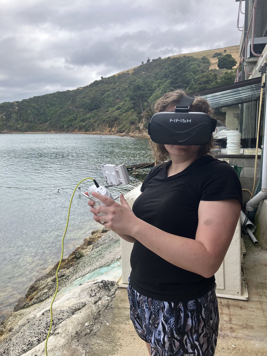 Testing out an underwater drone to use for behavior observations in the field! Not quite as cool as swimming with the fishes, but still pretty awesome!