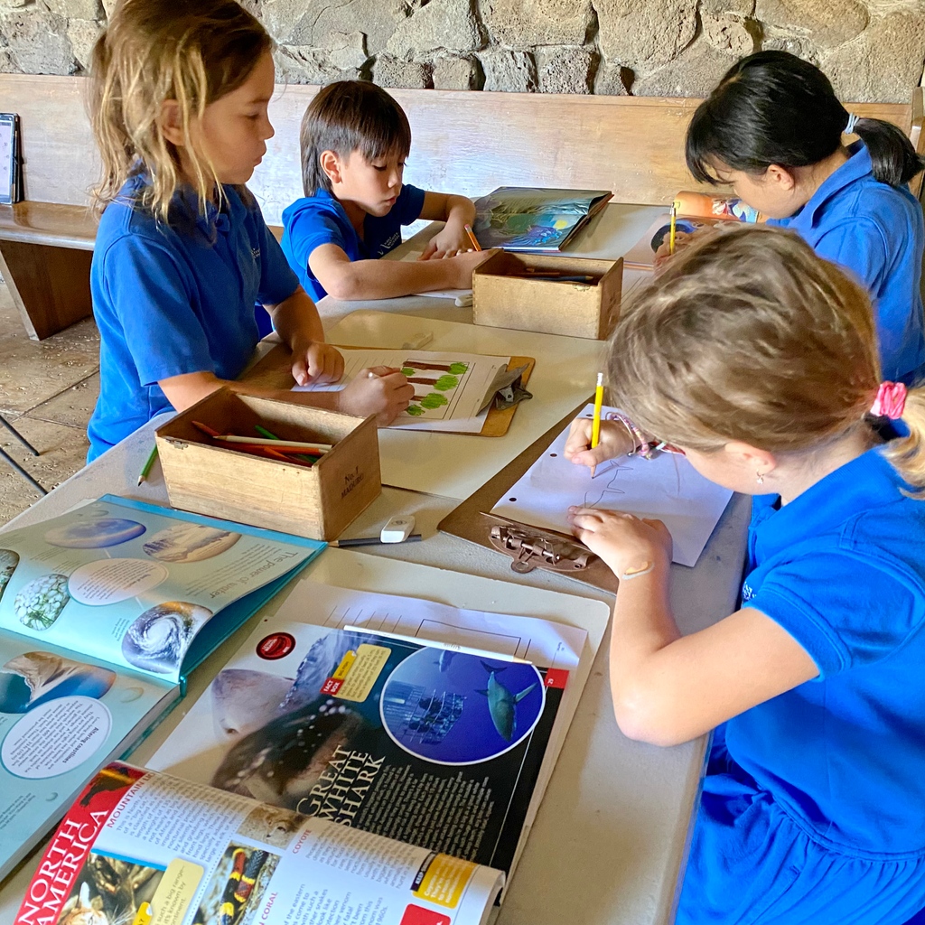 HolyNativity's tweet image. ✍🏼📰 Extra! Extra! Here&apos;s the scoop: our 2nd graders learn to love writing!  Each week they produce a class newsletter called the Tree House News, writing articles, developing content, and working on layout. Read all about it!

#StudentWriting #HNS #HolyNativitySchool