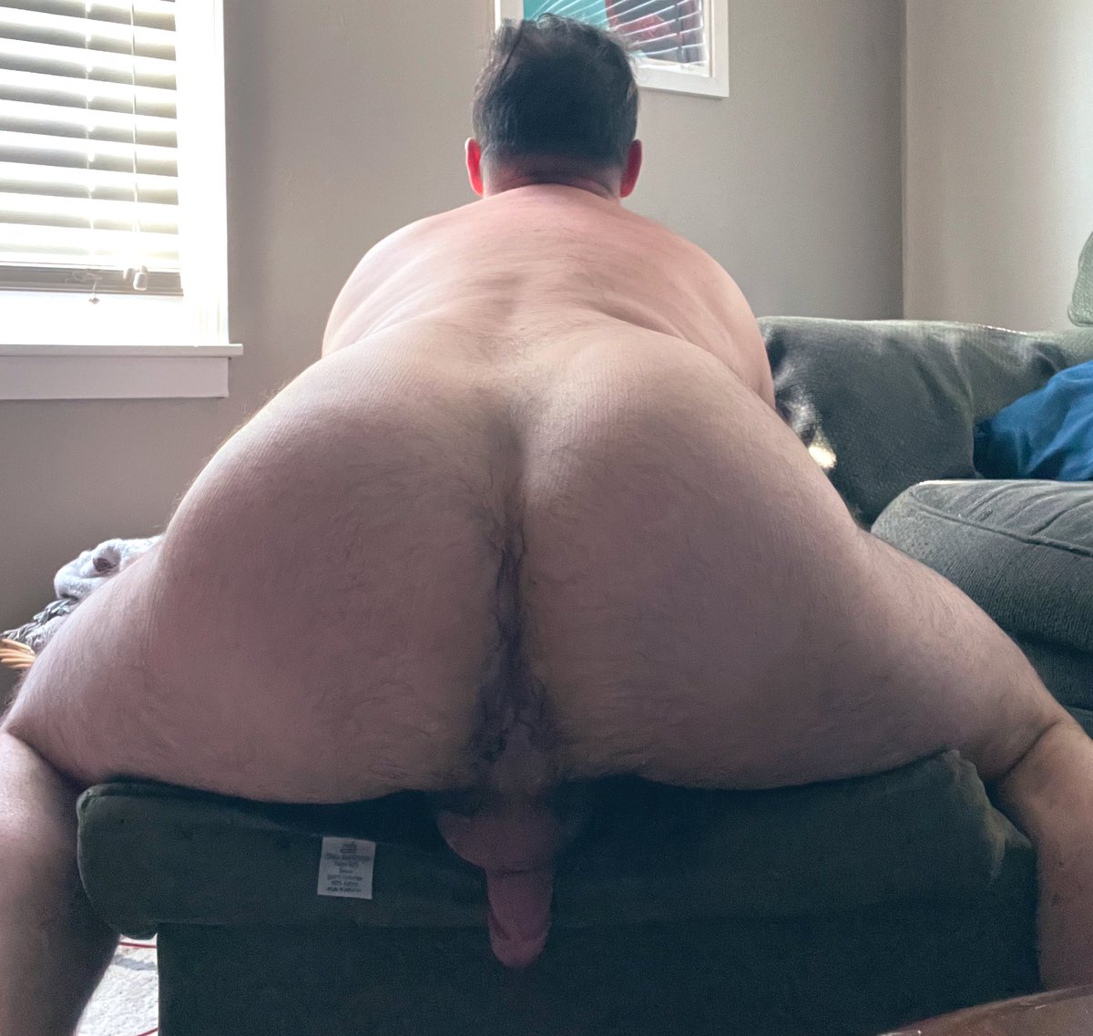 pocketottercub's tweet photo. I heard it was #tainttuesday or something https://t.co/X7GAMkLQSs