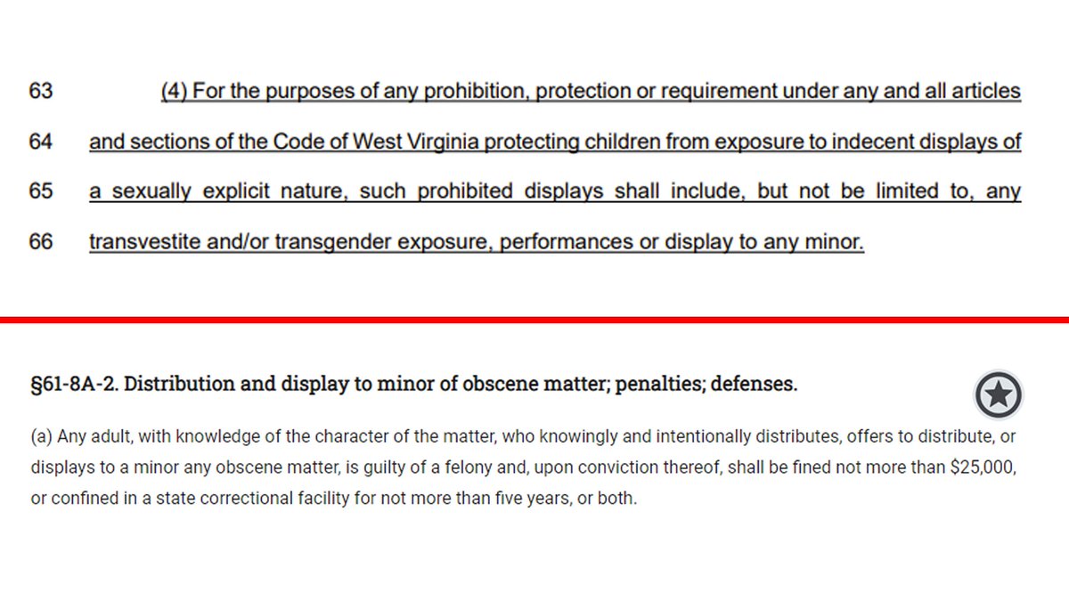 🚨 A new Anti-Trans Bill in West Virginia would ban 'transgender exposure to minors' as 'obscene matter (SB252).

If passed, it will add to a law with a FIVE YEAR max prison term.