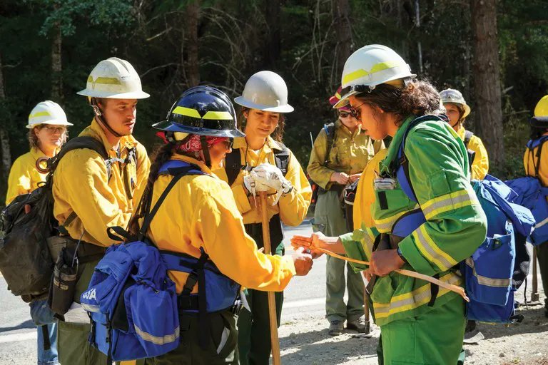 OurPublicLands's tweet photo. A fascinating story about Indigenous women who are leading an effort to manage forests with prescribed burns while seeking to extinguish hypermasculinity in firefighting culture. More in @highcountrynews:  https://t.co/66YMwHh5yx https://t.co/htmO36QCy4