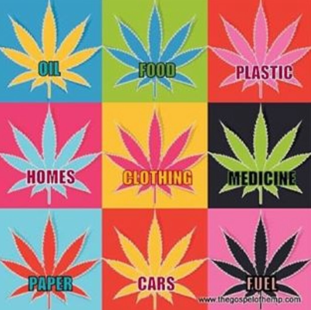 CannaWorld4's tweet photo. https://t.co/GzjsyhPqz6