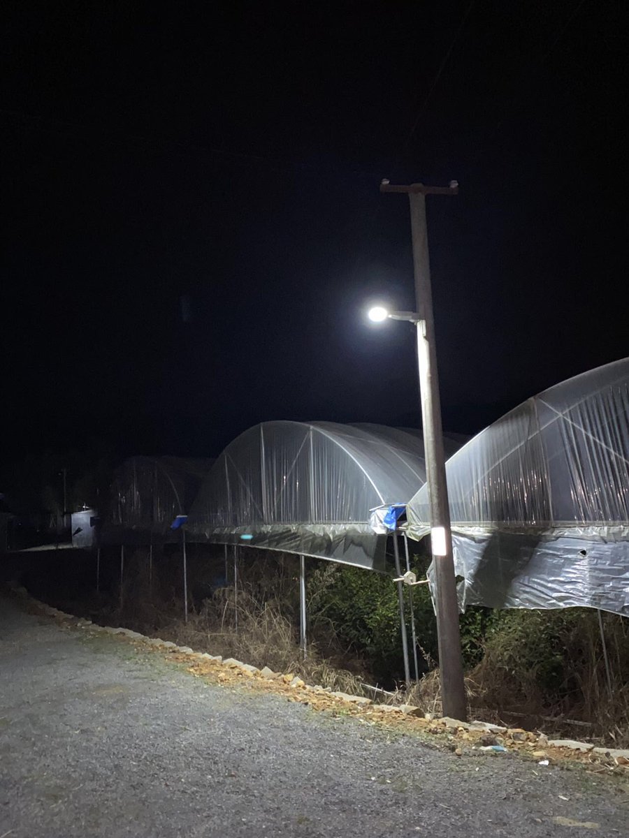 KellyChensolar's tweet photo. I brought 10pcs of Selena to installed around my house in my hometown last Chinese New Year. Now another Chinese New Year is coming, all these solar lights for pathways are working well as normal! I would like to remark them for every Chinese New Year!😄#solar #solarlight https://t.co/JUv3d8AFWN