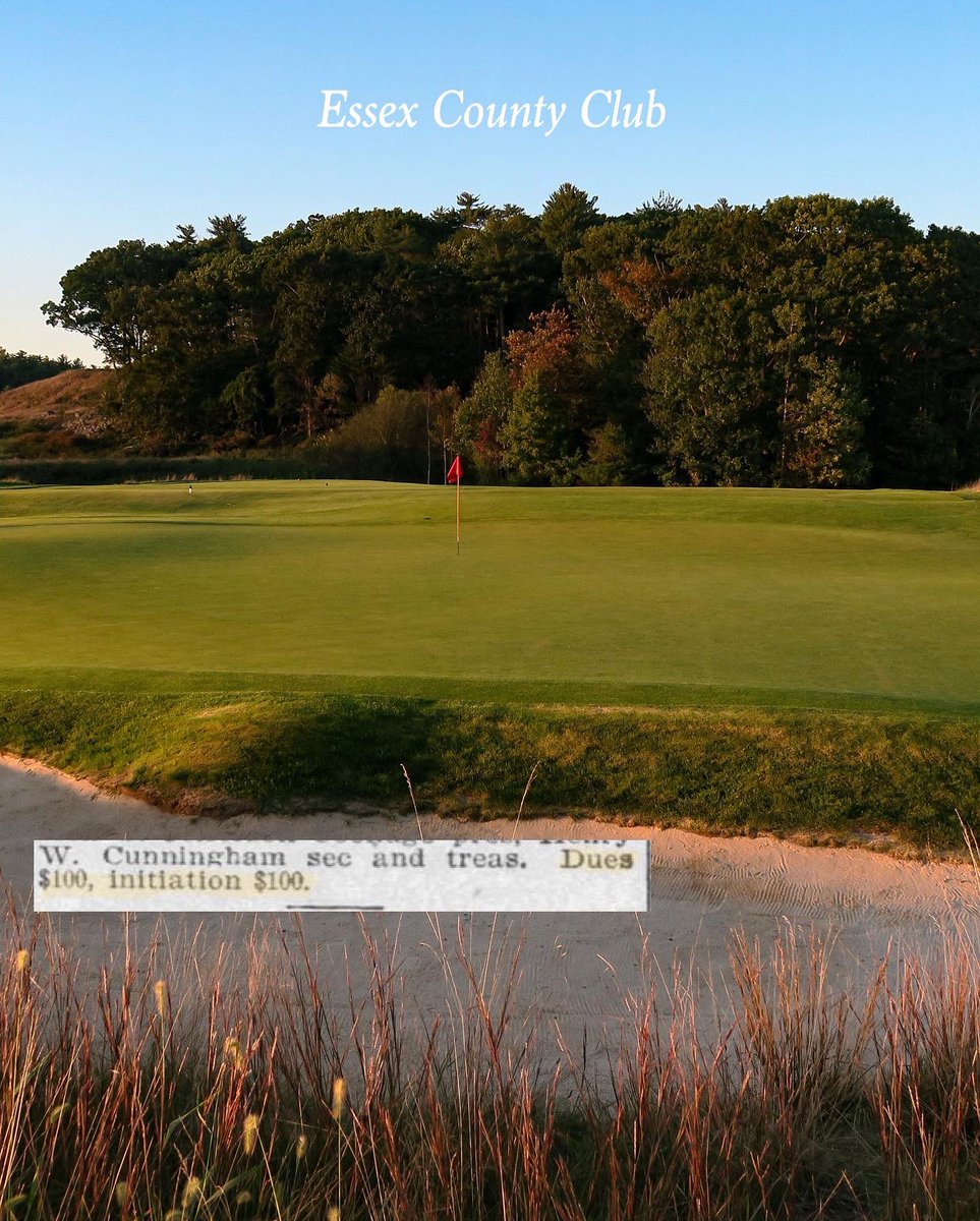 Jed Moller tweet media