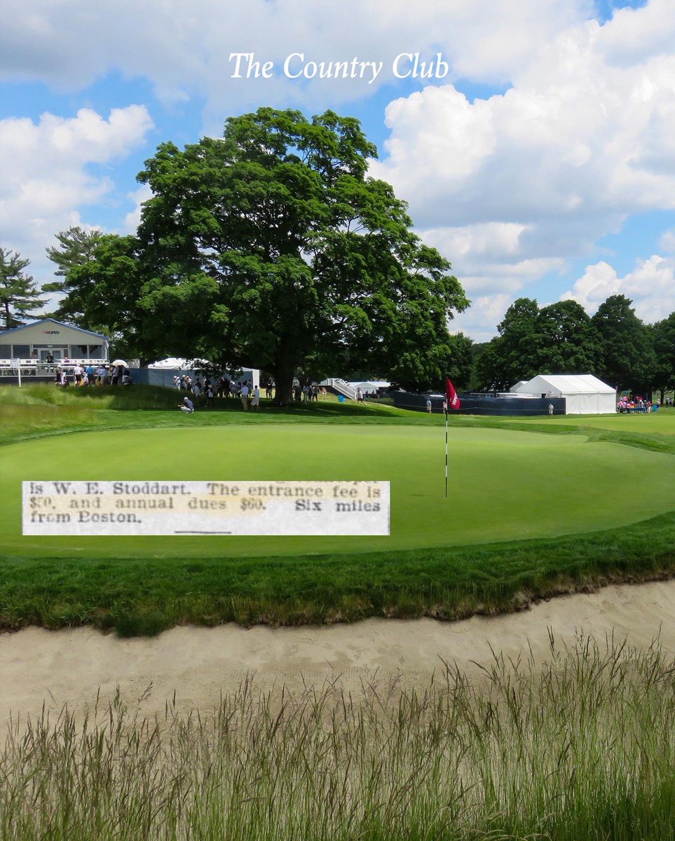 Jed Moller tweet media