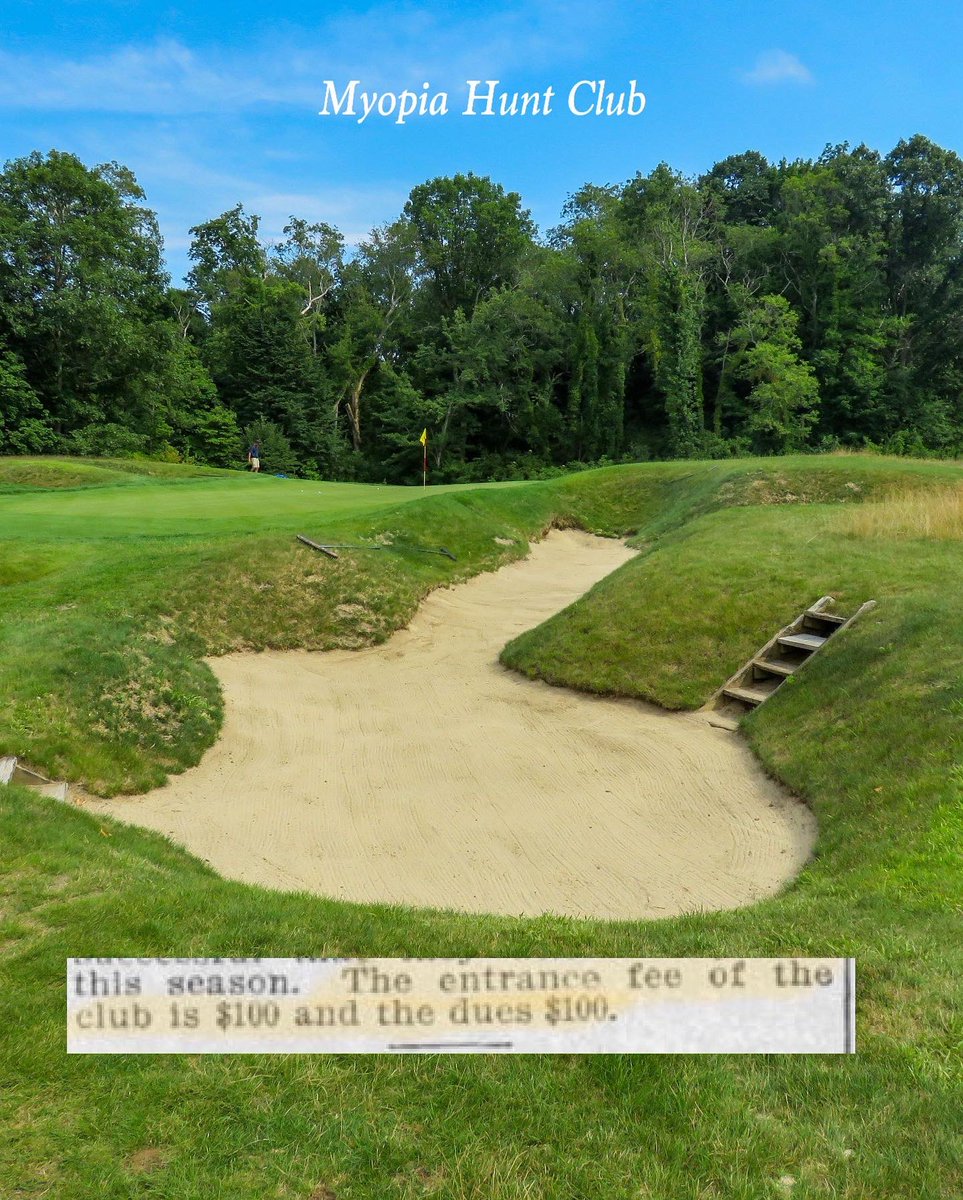 Jed Moller tweet media