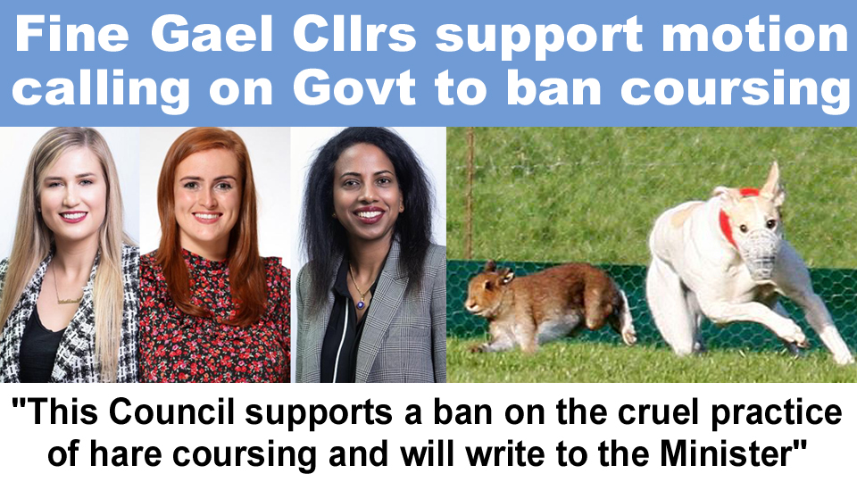 Thanks to @FineGael Councillors @AoibhinnTormey, @SiobhanShovlin and @PunamRaneFG for voting in favour of a motion calling on the government to ban cruel hare coursing banbloodsports.wordpress.com/2023/01/17/fin… #Ireland #AnimalCruelty #BanHareCoursing