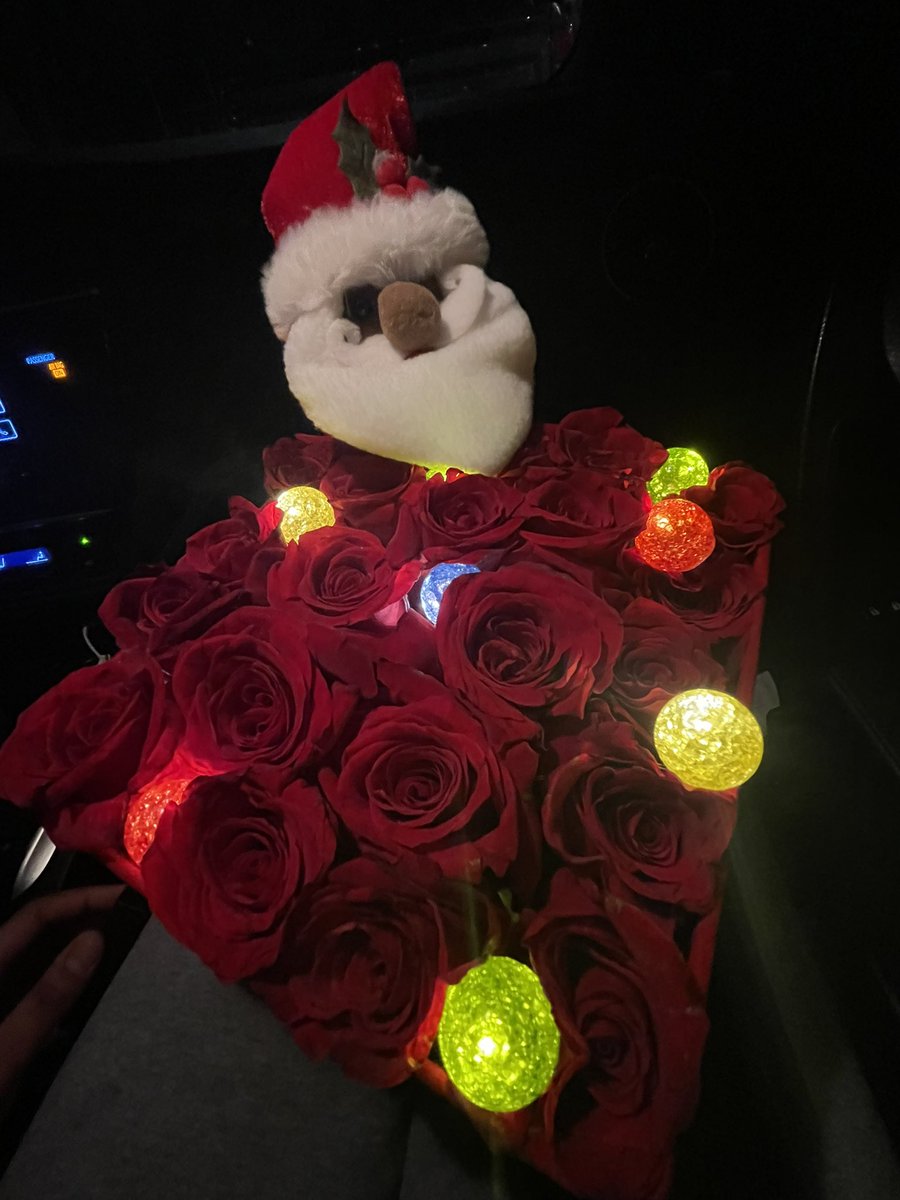rezma__aaa's tweet photo. RANDOM DUMP HOLIDAY SEASONS 😊 IG-Rezma_Bouquet’s https://t.co/g0p12qze1s