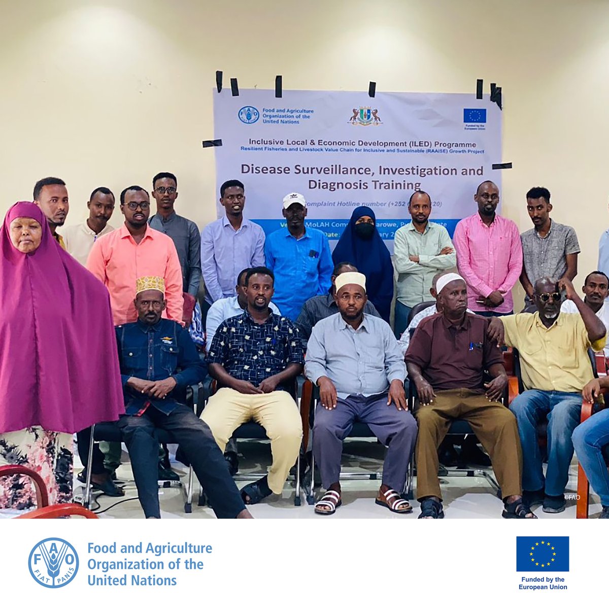 FAOSomalia's tweet photo. FAO &amp; @MoLAH_Puntland recently organised a disease surveillance refresher training in Garowe.

Supported by the @EU_in_Somalia funded ILED Programme, the RAAISE project builds state and federal ministry capacity including strengthening disease surveillance &amp; reporting in Somalia. https://t.co/LPZRlxctcq