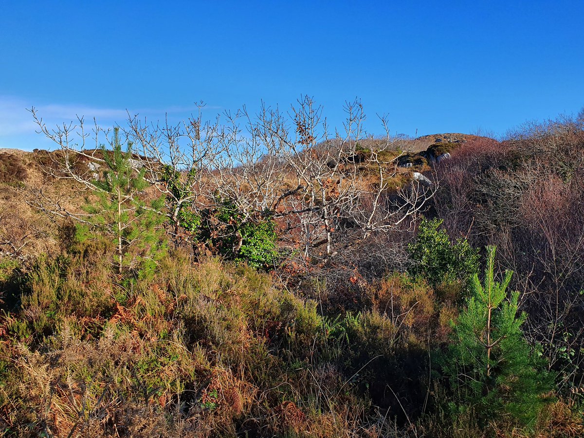 Eoghan Daltun 🌍 tweet media