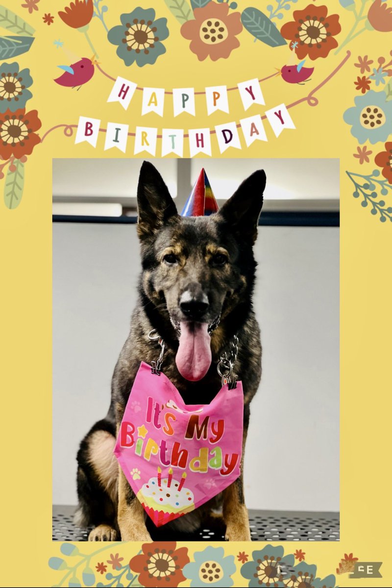 Lillian L. Carranza (Retired)🇺🇸 tweet media