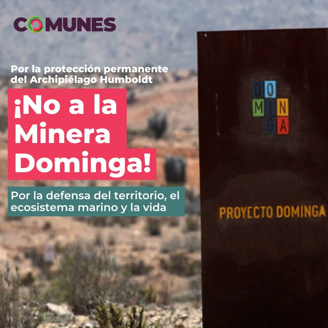 ComunesCL's tweet photo. 🚨 Este miércoles 18 se votará el mega proyecto minero portuario en La Higuera. Una zona donde coexiste una maravillosa biodiversidad🐋 junto con la mayor población mundial del #PingüinoDeHumboldt🐧

Proteger el medioambiente es una urgencia inmediata. #NOADOMINGA🚫 https://t.co/KYj6I0yFuq
