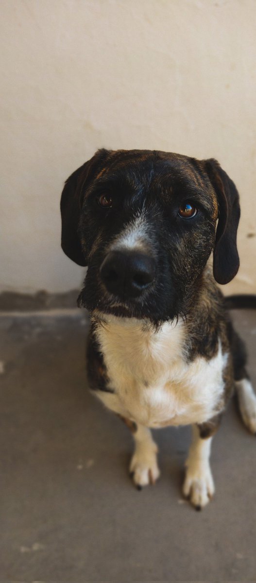 Flo Maggi (@flo_maggi) on Twitter photo 